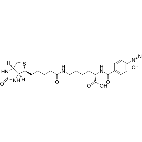 p-Diazobenzoyl-biocytin chloride (DBB chloride) 105319-12-8